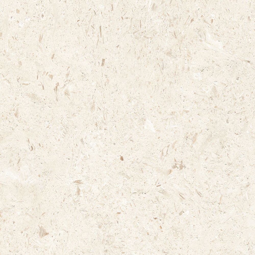 <small>600x600</small>미랄리스 리노 8.5T