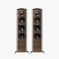 Sonus Faber (소너스 파베르)Sonetto V