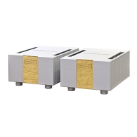 EMM LABS MTRX Reference<br>Mono Amplifiers
