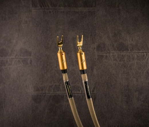 Allegro Speaker Cable