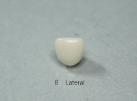 A CENTRAL/ B LATERAL/ C CUSPID STANDARD FIT 3ea 묶음