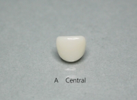 A CENTRAL/ B LATERAL/ C CUSPID STANDARD FIT 3ea 묶음