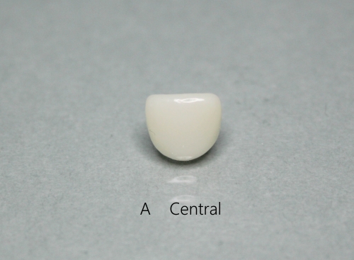 A CENTRAL / B LATERAL/ C CUSPID/ MINI FIT 1ea 낱개