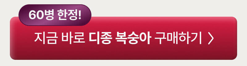 디종 복숭아 리큐르 할인