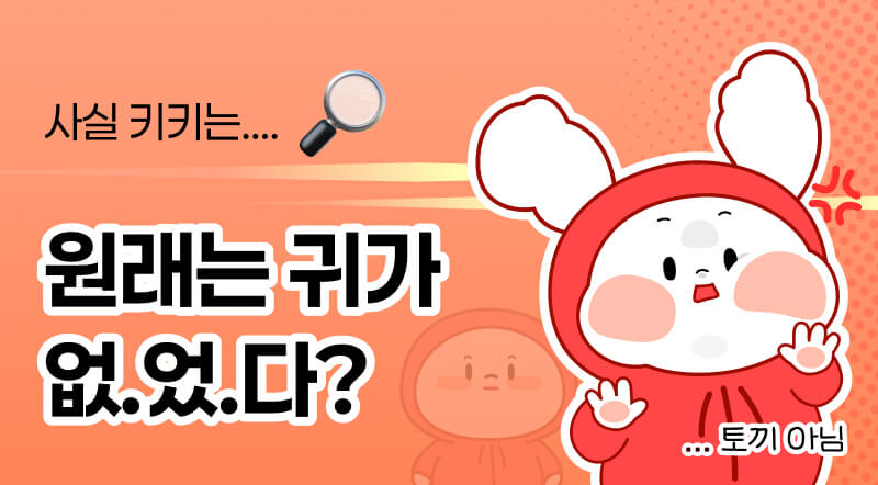 키키의 숨겨진 에피소드