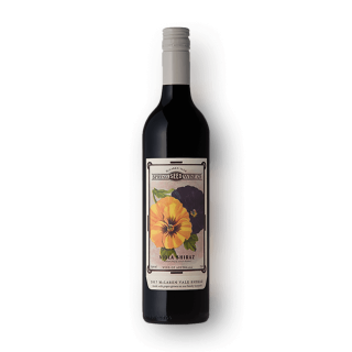 스프링 시드 비올라 쉬라즈