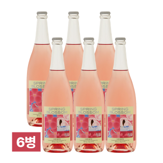 댄싱사이더 스프링 블라썸 750m 6병 + 코스터 + 오프너