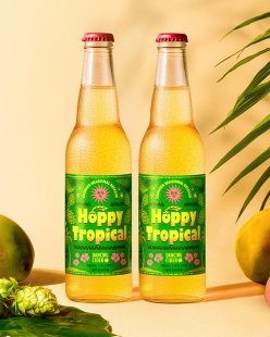 [할인] 댄싱사이더 홉피 트로피컬 500ml 2병 세트