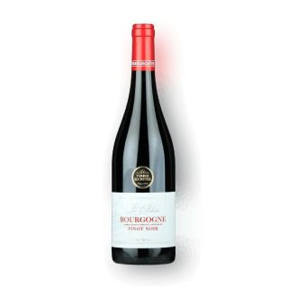 테르 스크레트 레 프렐류드 부르고뉴 피노 누아