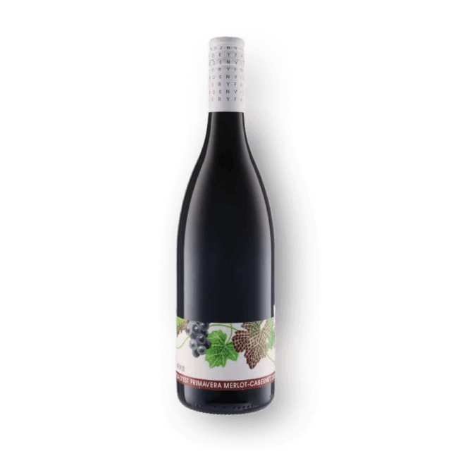 [세금포함] 빌라 데스트 프리마베라 메를로 까베르네 2022 750ml 대표이미지