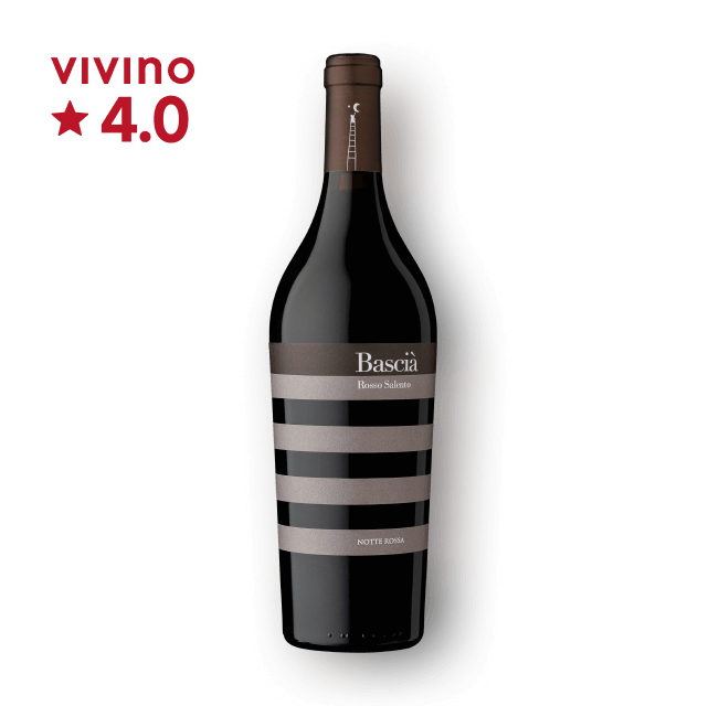 노떼 로사 바시아 2020 750ml 대표이미지