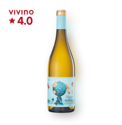 그라나딜라 소비뇽 블랑 750ml