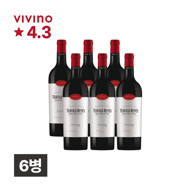 테오필로 레예스 레제르바 750ml 6병 대표이미지