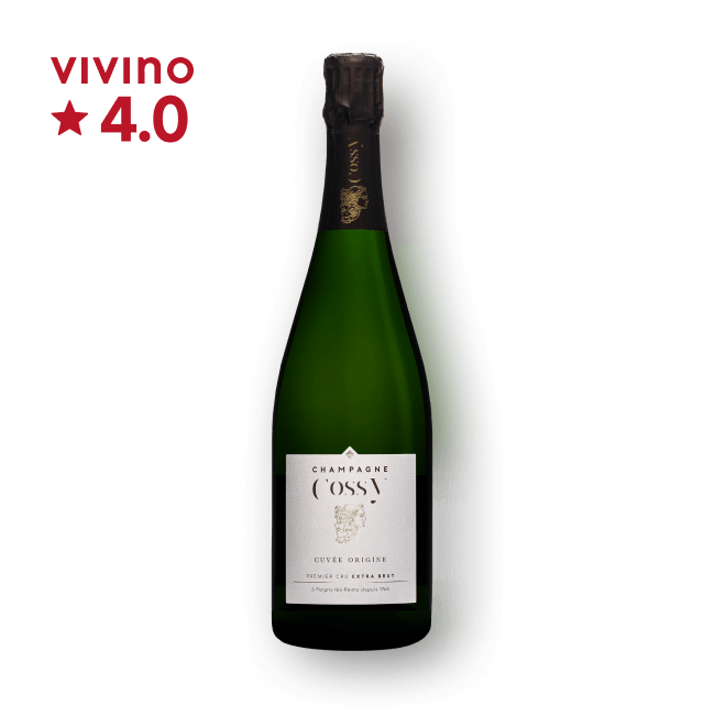 코시 오리진 프리미에 크뤼 엑스트라 브뤼 750ml 대표이미지