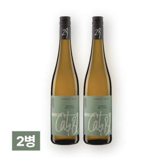 호라이즌29 까베르네 블랑 750ml 2병