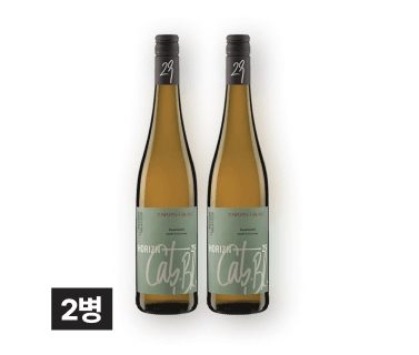 호라이즌29 까베르네 블랑 750ml 2병