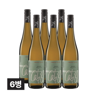 호라이즌29 까베르네 블랑 750ml 6병