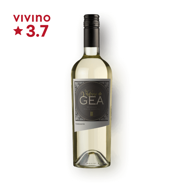 바스타고 드 제아 토론테스 750ml 대표이미지