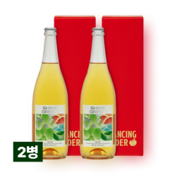 댄싱사이더 샤인그린 750ml 2병 세트