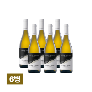 테르 나딘 샤도네 뜨레베네치에 IGT 750ml 6병
