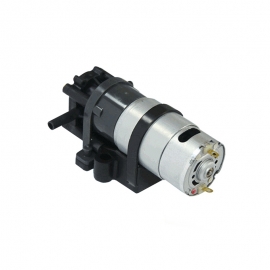 소형 기어타입 워터펌프 DWP-4212G 기어펌프 6V 9V 12V 24V 1.2L/M 시럽사용가능