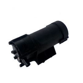 DC 자흡식 고온 워터펌프 DWP-40113G 기어펌프 4.1LPM 3kg