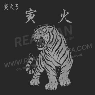 20251222-해병대 ROKMC