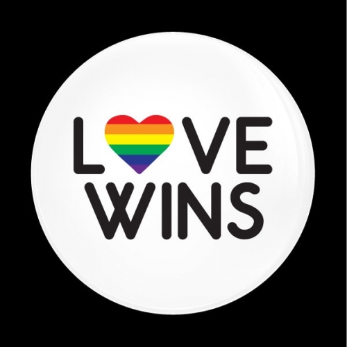 고뱃지 LOVE WINS