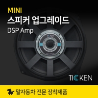 MINI 카오디오 끝판왕! MINI 필수 DSP 앰프 업그레이드, TSL-DA4