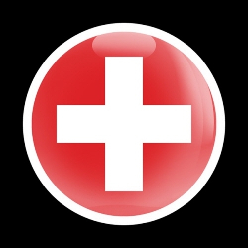 고뱃지 FLAG SWISS