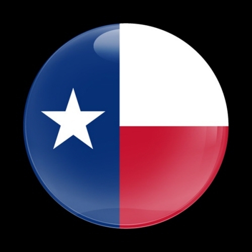 고뱃지 FLAG TEXAS