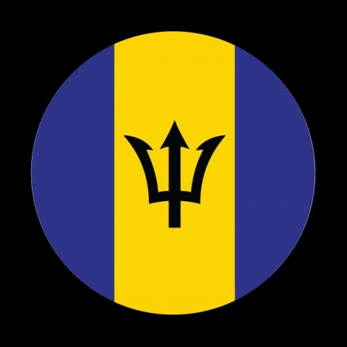 고뱃지 FLAG BARBADOS