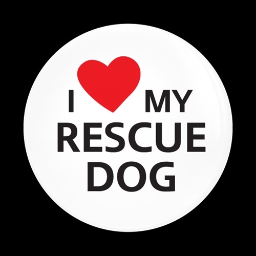 고뱃지 I LOVE RESCUE DOG