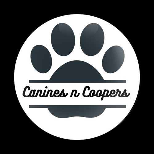 고뱃지 CLUB CANINES N COOPERS