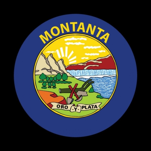 고뱃지 FLAG MONTANA