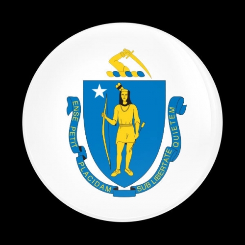 고뱃지 FLAG MASSACHUSETTS