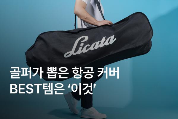 골프 항공 커버 추천과 필요 이유 총 정리