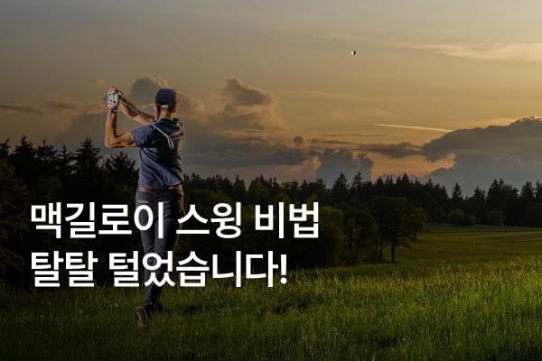 로리 맥길로이 연습법, 비거리 328야드 장타의 비밀 7가지