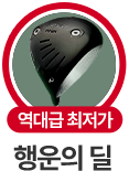 행운의 딜