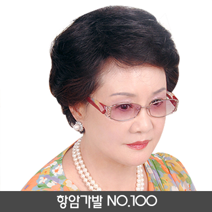 항암가발NO.100(MONO NET)