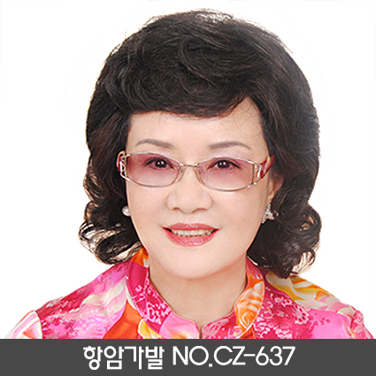 항암가발NO.637(MONO NET)