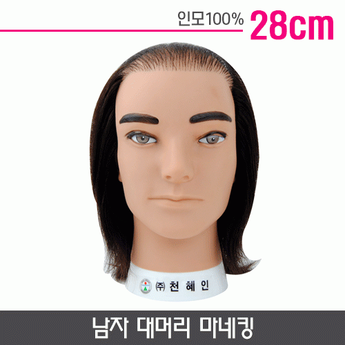 남자 대머리 마네킹(교육용)