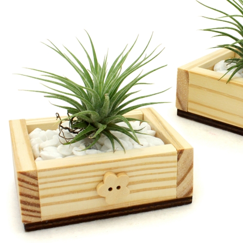 목공놀이-이오난사 화분 만들기