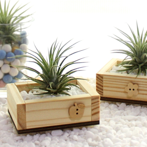 목공놀이-이오난사 화분 만들기