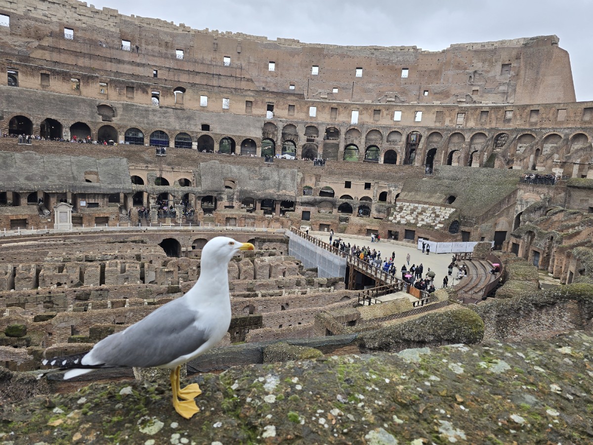 14-콜로세움.jpg