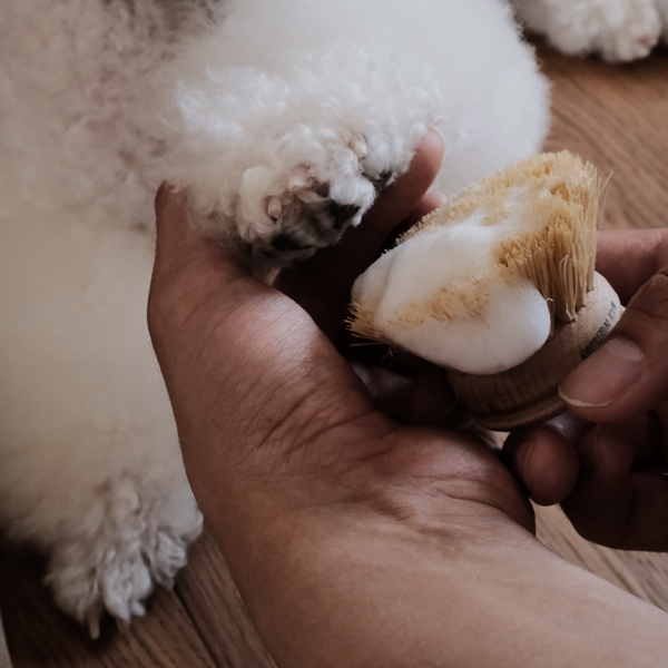 반려시선 강아지 저자극 발비누 시어버터 120g