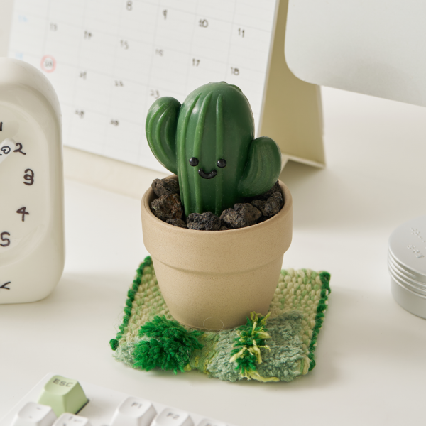 NEW 동구밭 캑터스 올인원 퍼퓸바 세트 약산성 비누 집들이선물 선인장 오브제