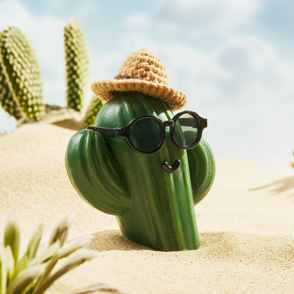 NEW 동구밭 캑터스 올인원 퍼퓸바 세트 약산성 비누 집들이선물 선인장 오브제