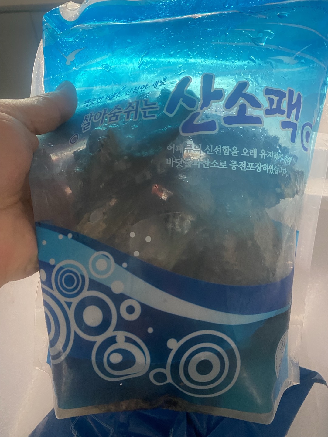 KakaoTalk_20240723_103615844.jpg