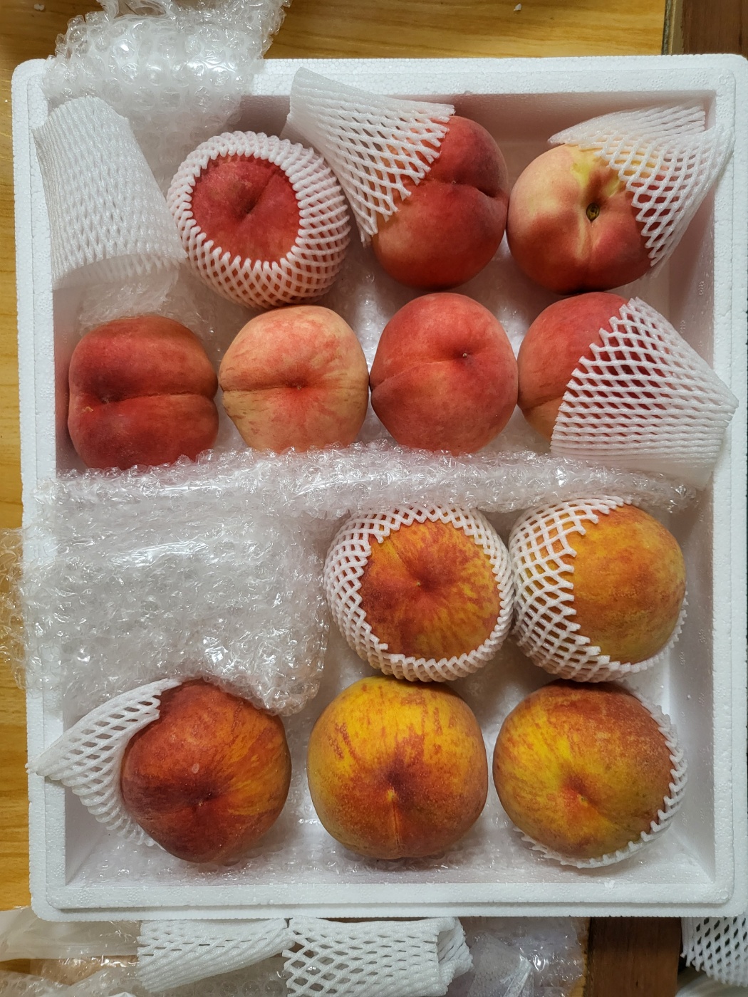 KakaoTalk_20240716_224903364.jpg